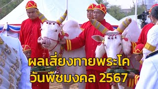 ผลการเสี่ยงทายพระโค วันพืชมงคล 2567