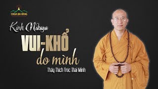 Vui Khổ Do Mình | Kinh Nikaya Giảng Giải | Thầy Thích Trúc Thái Minh