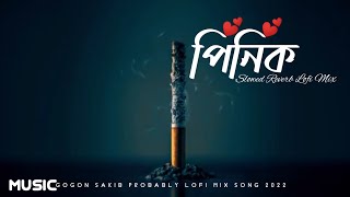 Pnik _ Lo-fi Lakhi (Cover Song) _ Lo-fi Mix (Slowed - Reverb) _ New Lofi Song 2022