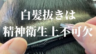 10年以上白髪を抜き続けている裏ボスが白髪抜きを語る③「白髪抜きは精神衛生上不可欠」