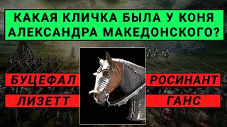 Насколько ВЫ УМНЫЙ человек? Ответьте хотя бы на 9 вопросов! Тест на Эрудицию и Общие Знания