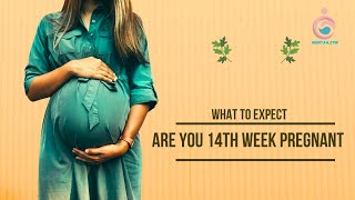 Your Complete Guide to the 14th Week of Pregnancy: Symptoms, Body Changes, Baby Development and More