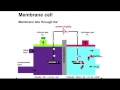 Chlor-Alkali Process Animation