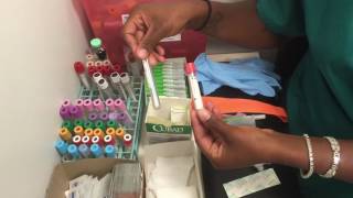 Phlebotomy Equipment Explained