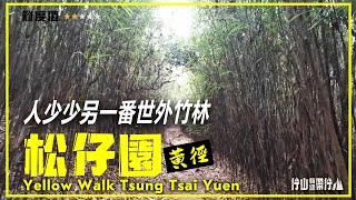 【ENG SUB】松仔園黃徑｜行山教練帶行山72｜人少少另一番世外竹林Yellow Walk Tsung Tsai Yuen｜Hiking: Join the PRO 72｜Bamboo Woods