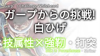 トレクル・OPTC｜ガープからの挑戦！白ひげ｜★10｜技属性×強靭・打突｜Garp’s Challenge Whitebeard DEX × Powerhouse ・ Striker｜葉雨