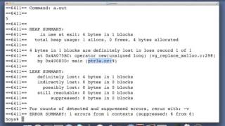 Pointers - Memory Leaks - Screencast