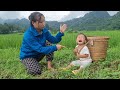 A single mother and her daughter harvest melons to sell at the market and build a farm