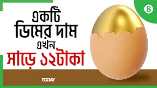 রেকর্ড দামে বিক্রি হচ্ছে ডিম | Eggs are selling at record prices | The Business Standard