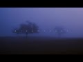 trapeia - that's life