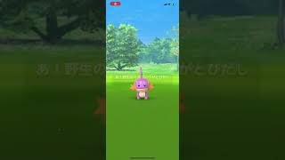 【ポケGO】ポケモンGO ミズゴロウ色違い（コミュニティデイにて）