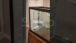 How to Build an Internal Aquarium SUMP