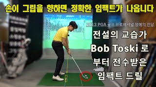 정확한 임팩트: 세계 최고의 교습가인 봅 토스키가 직접 알려준 임팩트 드릴