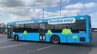 2190ST Transport Vlog 407: [Busabout, Interline \u0026 Picton Buslines] Campbelltown Bus Spotting