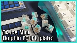 Dolphin PC TX Ice Mint / 돌고래 PC TX 아이스 민트 스위치