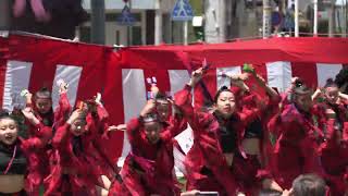 「Rie Dancing Team」第18回 湘南よさこい祭り 見附台公園 2023 06 04（日）