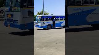 chandigarh to patiala bus prtc