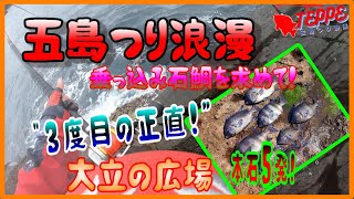 【五島 石鯛釣り】本石5発！「波に乗れずに空回り、3度目の正直でGet！」大立の広場でついに、“回遊の乗っ込み石鯛”に遭遇。