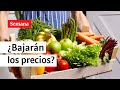 Petro anuncia acuerdo para bajar el precio de los alimentos | Semana noticias