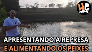 Alimentando os Peixes na Represa: Um Encontro com a Natureza