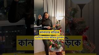 কানাডার বাড়িতে Christmas এর সাজ | Christmas Decor of our house in Canada #canada #bengali