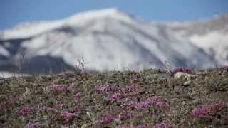 Badger-Two Medicine: Protect this Sacred Place