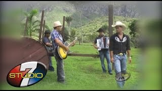 BANDA 100 PAREA - Boi De Carro