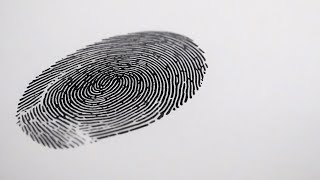 Types of Fingerprint Patterns