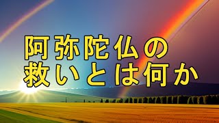 音声改善　）256（　浄土真宗法話　阿弥陀仏の救いとは何か