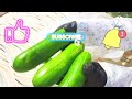 تسوق ذكي لشهر ديسمبر 🤩 اكتشفوا مشترياتي من اللحوم والخضروات لشهر 12 🥩🥒🍅