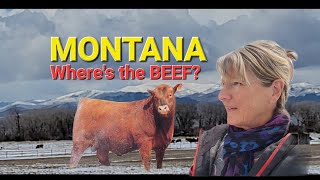 Uncovering Real Montana Ranching in the Heart of Ruby Valley! 5L Red Angus