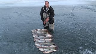 Pike fishing with Jared Ostermiller at Fort Peck. JawJacker Video