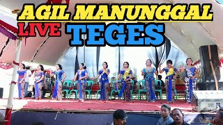 Live Streaming AGIL MANUNGGAL//Seni Tayub Blora//HN Audio//Live Teges Terbaru