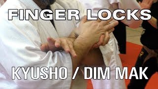 KYUSHO / DIM MAK FINGER LOCKS - Seminar \