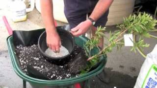 Hydrocell Planting