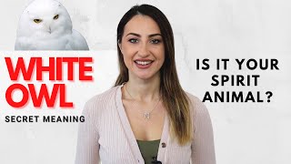 White Owl - Secret Meaning and Symbolism