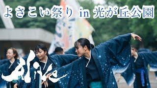 Profound Emotions／Alive《よさこい祭りin光が丘公園》2024/7/13 パレード演舞