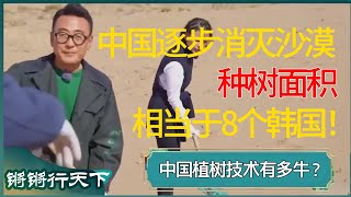 中国逐步消灭沙漠，种树面积相当于8个韩国！中国植树技术有多牛？ #锵锵行天下 #锵锵拾遗 #窦文涛 #梁文道 #马未都 #马家辉 #周轶君 #许子东 #圆桌派