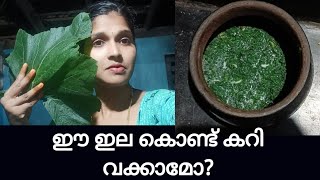 ഈ ഇല കൊണ്ട് നിങ്ങൾ കറി  ഉണ്ടാക്കാറുണ്ടോ?.പെട്ടന്ന് ഉണ്ടാക്കാൻ പറ്റുന്ന ഒരു സൂപ്പർ ഇല കറി 👌