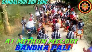 A1 MITHUN MELODY BANDHAPALI