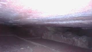 Cavity wall insulation extraction