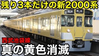 【黄色い電車の終焉】西武池袋線 いつの間に新2000系が残り3本に！ 2069F・2071F・2075F／西武40000系8連は2本目の投入がまもなくか 2025.1