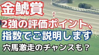 【金鯱賞2024】世代最強馬ドゥレッツァ始動戦、プログノーシスに通用するのか？