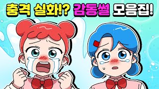 [체리툰] 눈물 좔좔💦 감동 이야기 모음집