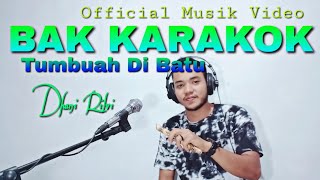 LAGU MINANG 2020 DHANI RILVI - BAK KARAKOK TUMBUAH DI BATU [ Official Musik Video ]