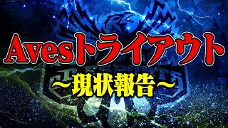 【緊急】Avesトライアウトについてお伝えしなければいけない事があります。【荒野行動】