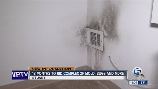 18 months to rid complex of mold, bugs and more