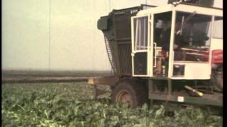 Standen 1979 | Royal Show Gold Medal | Princess Alice Duchess of Gloucester | Planters | Harvesters