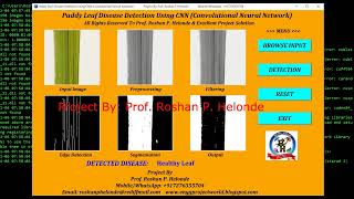 Paddy Plant Disease Detection Using Python Code | Paddy Leaf Disease Classification Using CNN Code