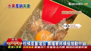 20171127 TVBS採訪大屯桶柑園之新聞專題